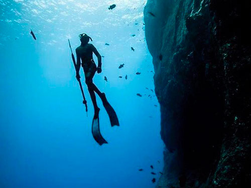 Какое ружье для подводной охоты лучше выбрать?